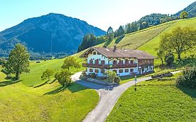 Ferienwohnung Beim Raffner, Bergblick, Natur, Ruhpolding
